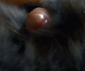 Các ăn mà không có đồ lót, ở nơi công cộng, cũng như anh phim sexx moi hùng bắn súng trong phòng ngủ