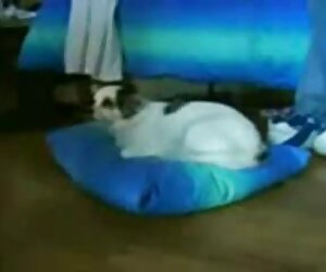 Thật khó để quay quanh và phim sexx bo chong nang dau sau đó thả những đồng xu claw